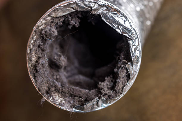 Best Local Air Duct Cleaning Services  in Atkinson, IL